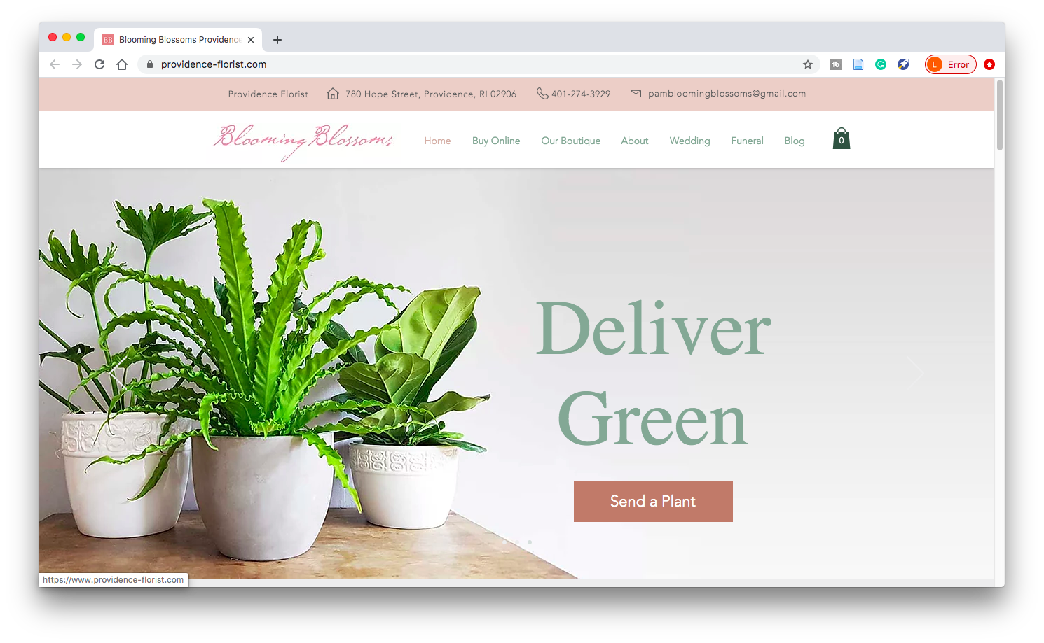 Online Store-Custom Product Options