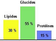 part-glucides-sportifs.gif