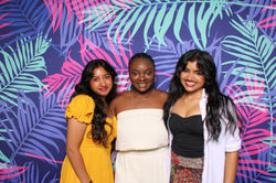 tropical backdrop