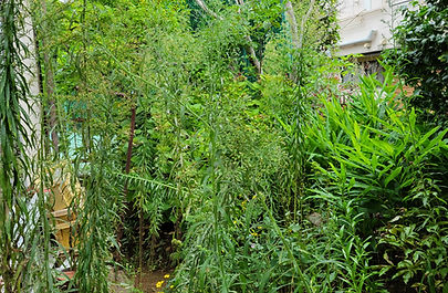 20220823_104218 (1).jpg