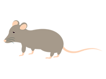 ねずみ