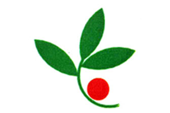 安心の専門医療を提供