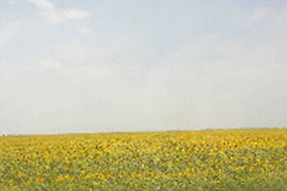 新宿メンタルヘルスクリニック