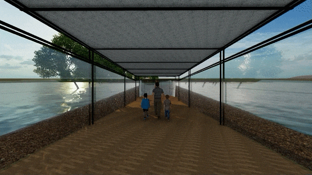 Mangrove observatory