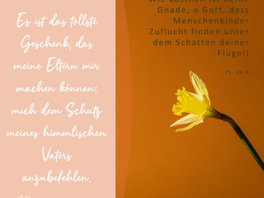 Psalm 36,8