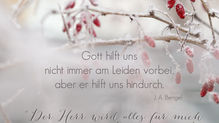 Psalm 138,8