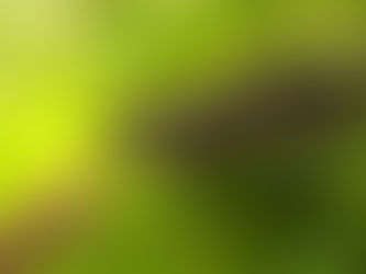 QUANDO SI DICE “ALIMENTAZIONE NATURALE”
