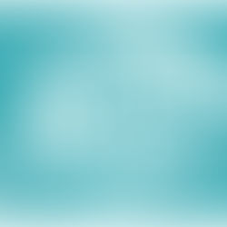 Pirates Perch Surf Hire Logo