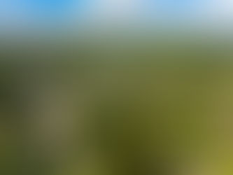 What Is It Like Living in Cuernavaca in West Austin?