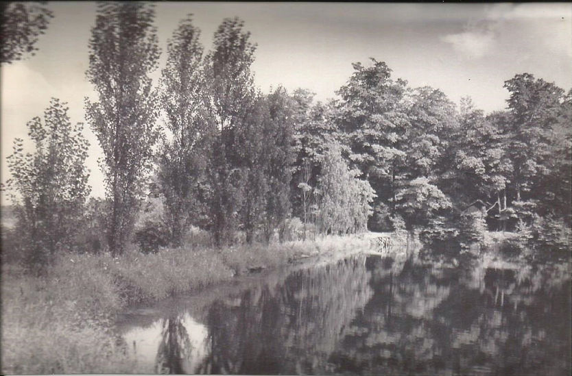 DEVELOPMENT OF THE FARM PROPERTY ~ 1941 – 1948