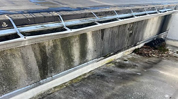 roof 2.jpg