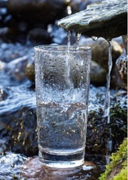 vaso.jpg