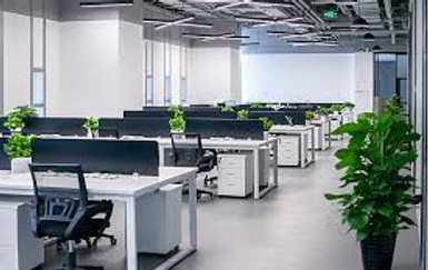 Office 2.jpg