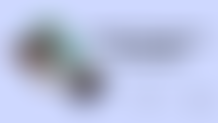 Seeing through Lies and Deception