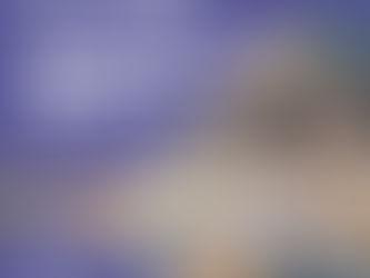 最近財經市場出現了一個新名詞「宅經濟」(Work from Home Economy)。值得留意的是,宅經濟並不是新冠肺炎所衍生的,在資訊科技的發展和在家辦公的趨勢下,宅經濟的急速發展是大勢所趨。