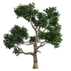 pngguru.com (5).png