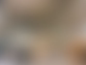 IPMS Meeting 2019 @Frankfurt  