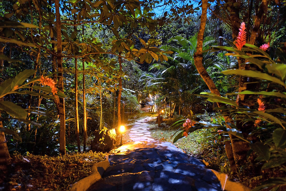 Disconnect 2 Reconnect