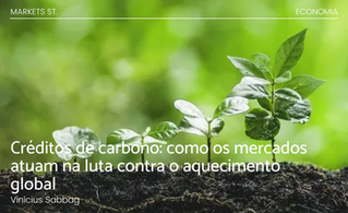 Créditos de carbono: como os mercados atuam na luta contra o aquecimento global