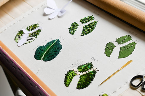 Tests leaf.jpg