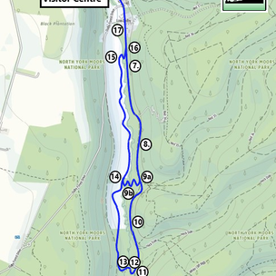 Dalby Forest - Ellerburn Red Trail.png