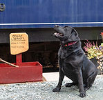 Bassenthwaite Lake Station - Jo Crompton (24).jpg