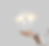 Foto de inicio.png