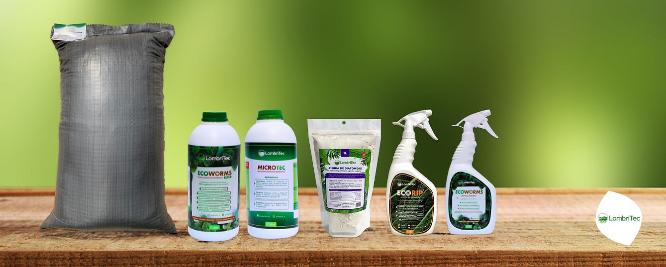 Portada LombriTec.jpg