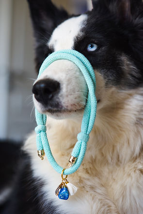 Laika de Yakouti