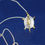 Thumbnail: Gold Turtle Necklace