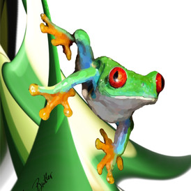 Tree frog