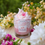 Miniature : Bougie Fleur de cerisier