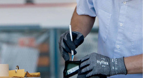 Landing Page Ansell_edited.jpg