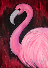 Flamingo.jpg