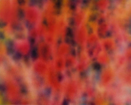 紅景 4