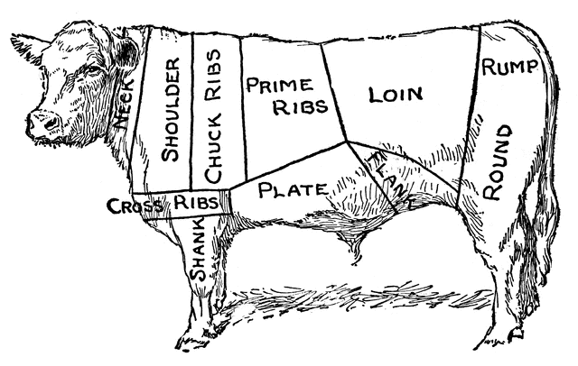 86360_meat-of-cow_md.gif
