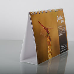 Calendrier de bureau GD Photographe