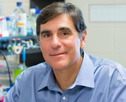Dr. Marco Prado headshot
