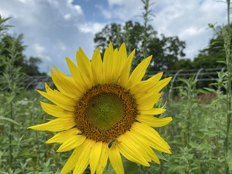 July's End - New Beginnings!