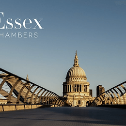 LucidCatalyst's Michael Drury Represents Terra Praxis at Seminar on Britain's Nuclear Sector