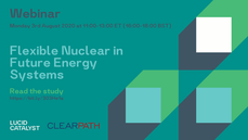 Flexible Nuclear in Future Energy Systems 