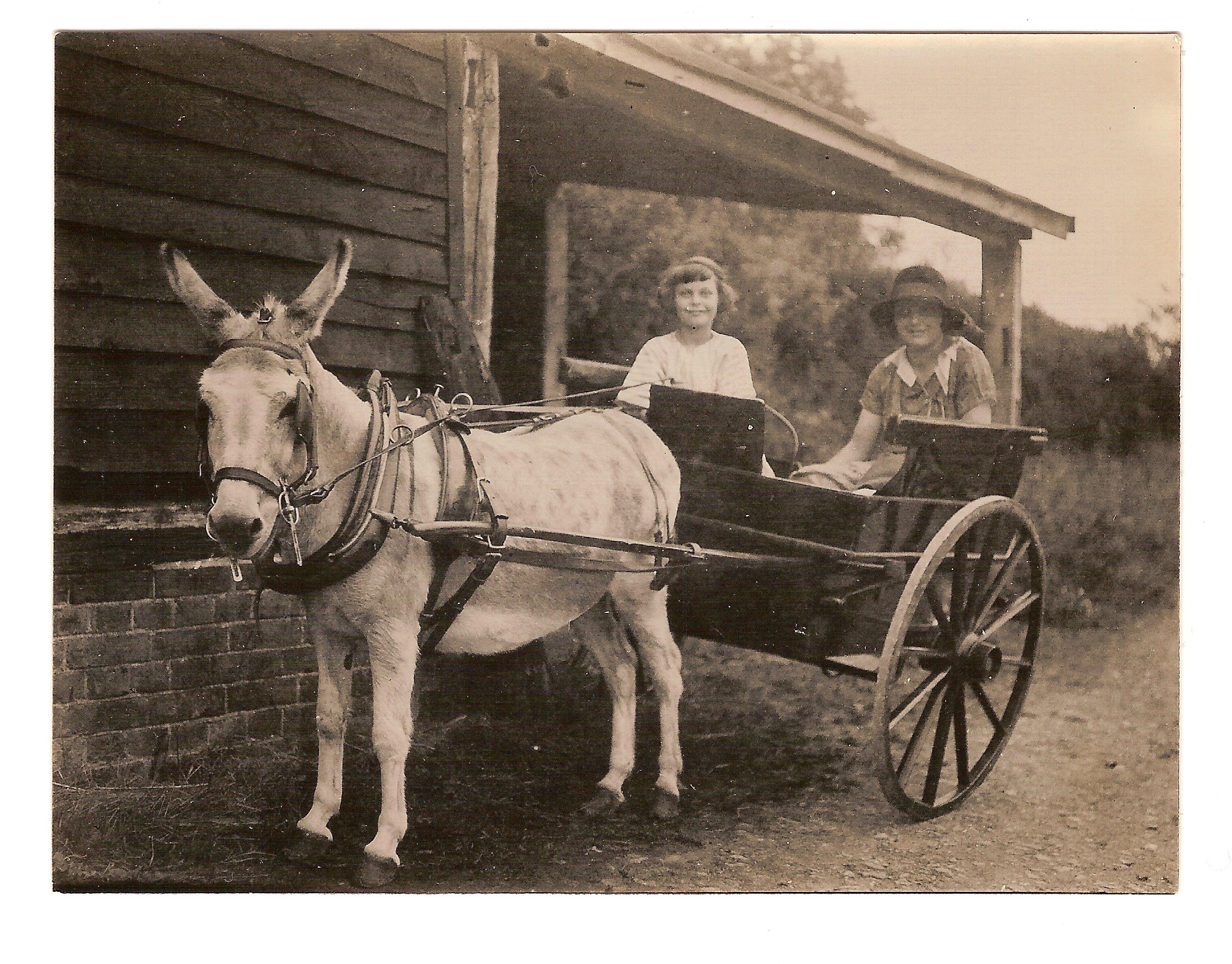 Norman O'Neill - Donkey Cart