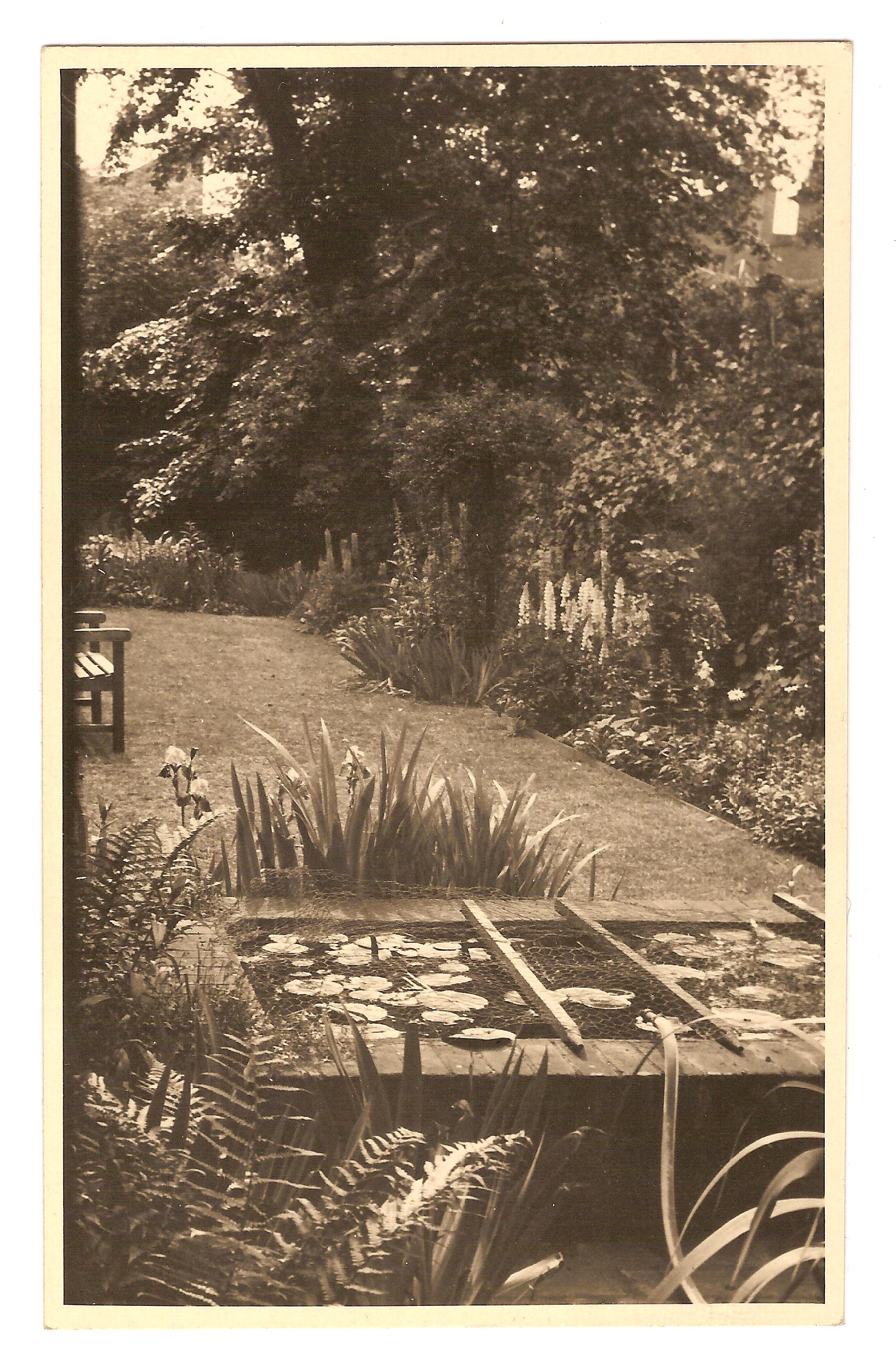 The garden at 4 Pembroke Villas