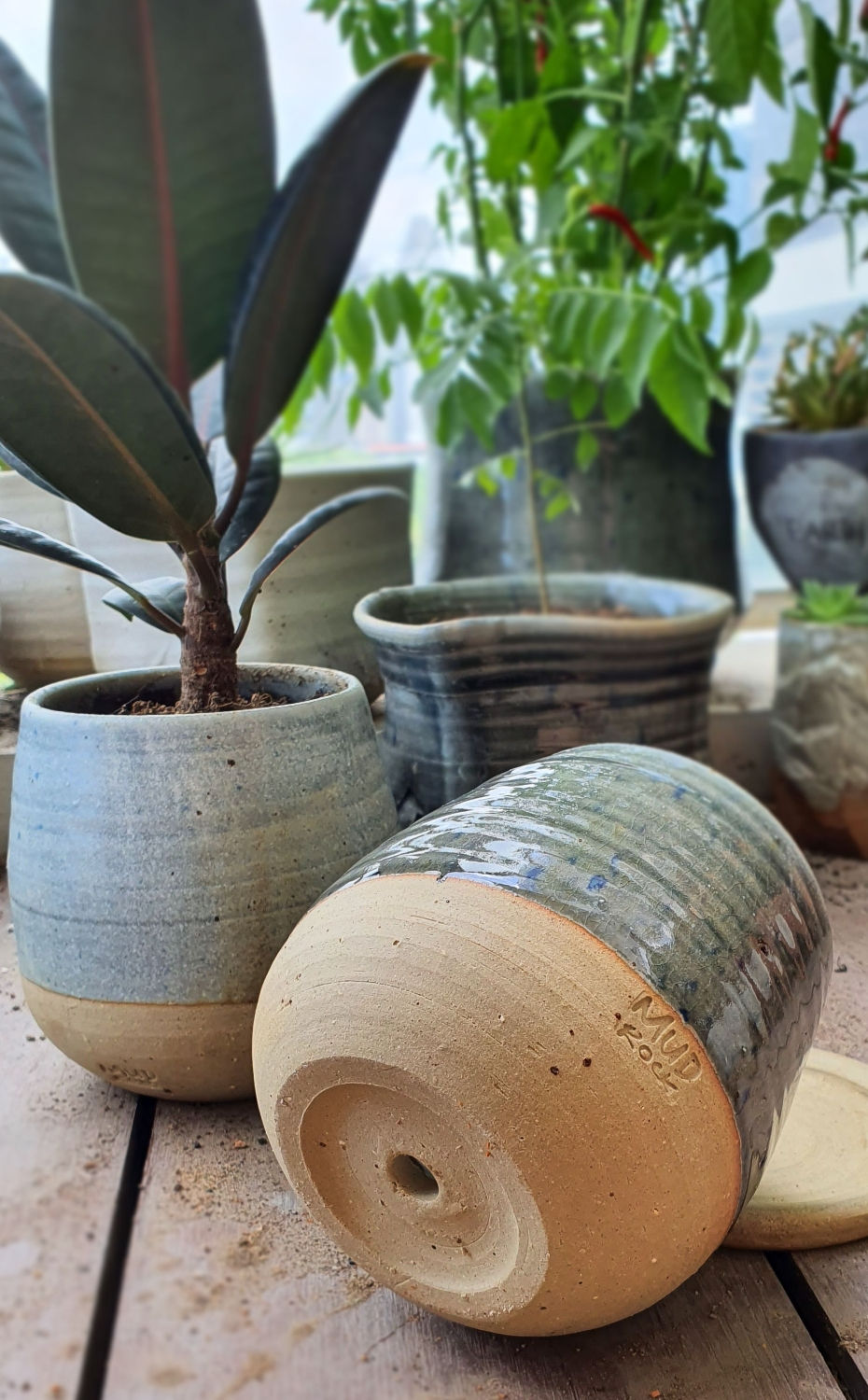 Dino Planter (tall) w dish