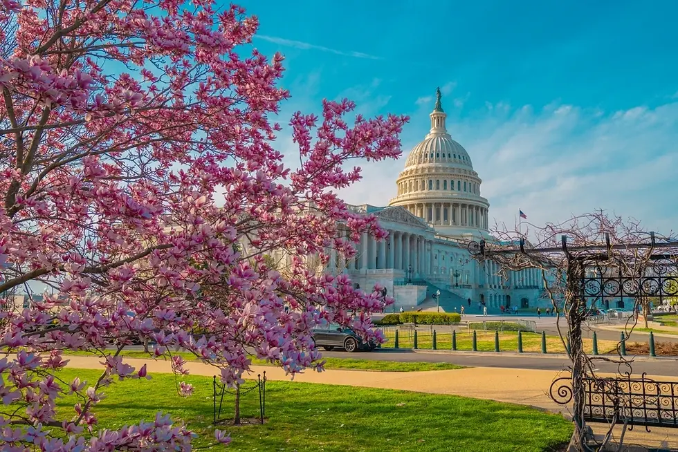 Washington, D.C. Capitol Building