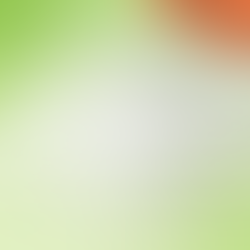 A Historic Moment: The ICJ Confirms States’ Legal Duty on Climate