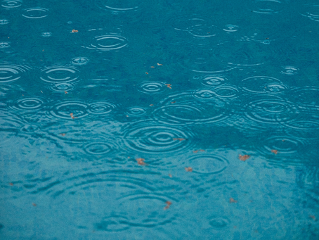 RAIN by Tara Brach