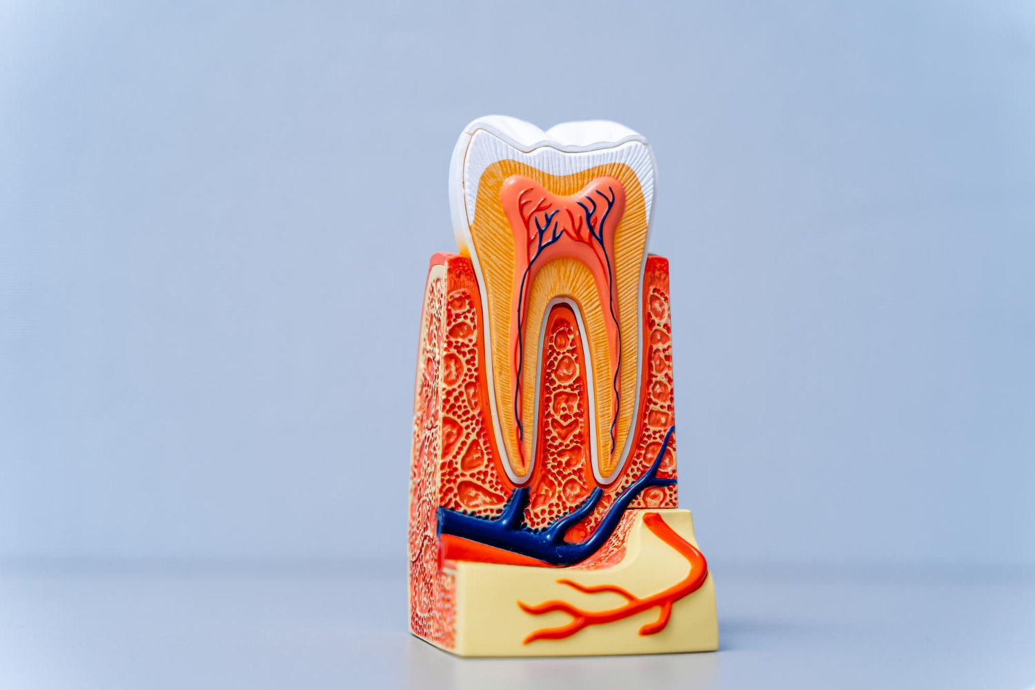 root-canal-treatment