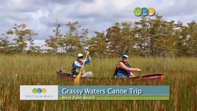 Middle & High School Grassy Water Canoe Trip: Everglades Focus