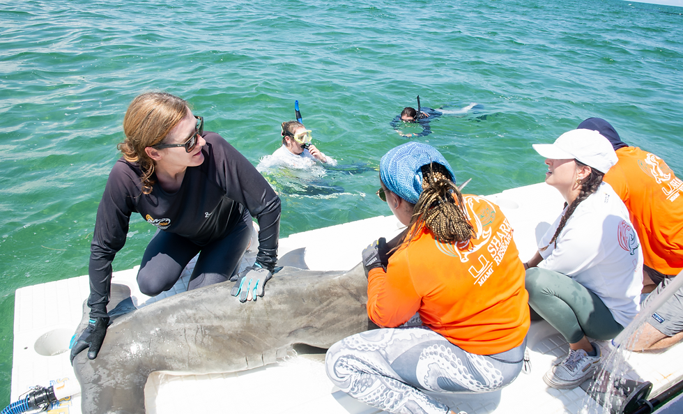 University of Miami's Dr Catherine Macdonald shows surf skate science students how they research sharks in Biscayne Bay